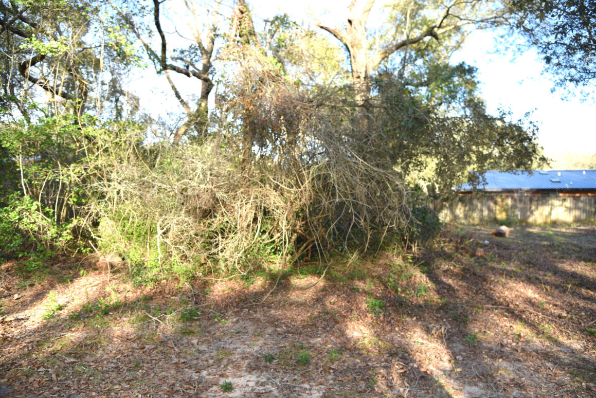 BRIARWOOD S/D - Land