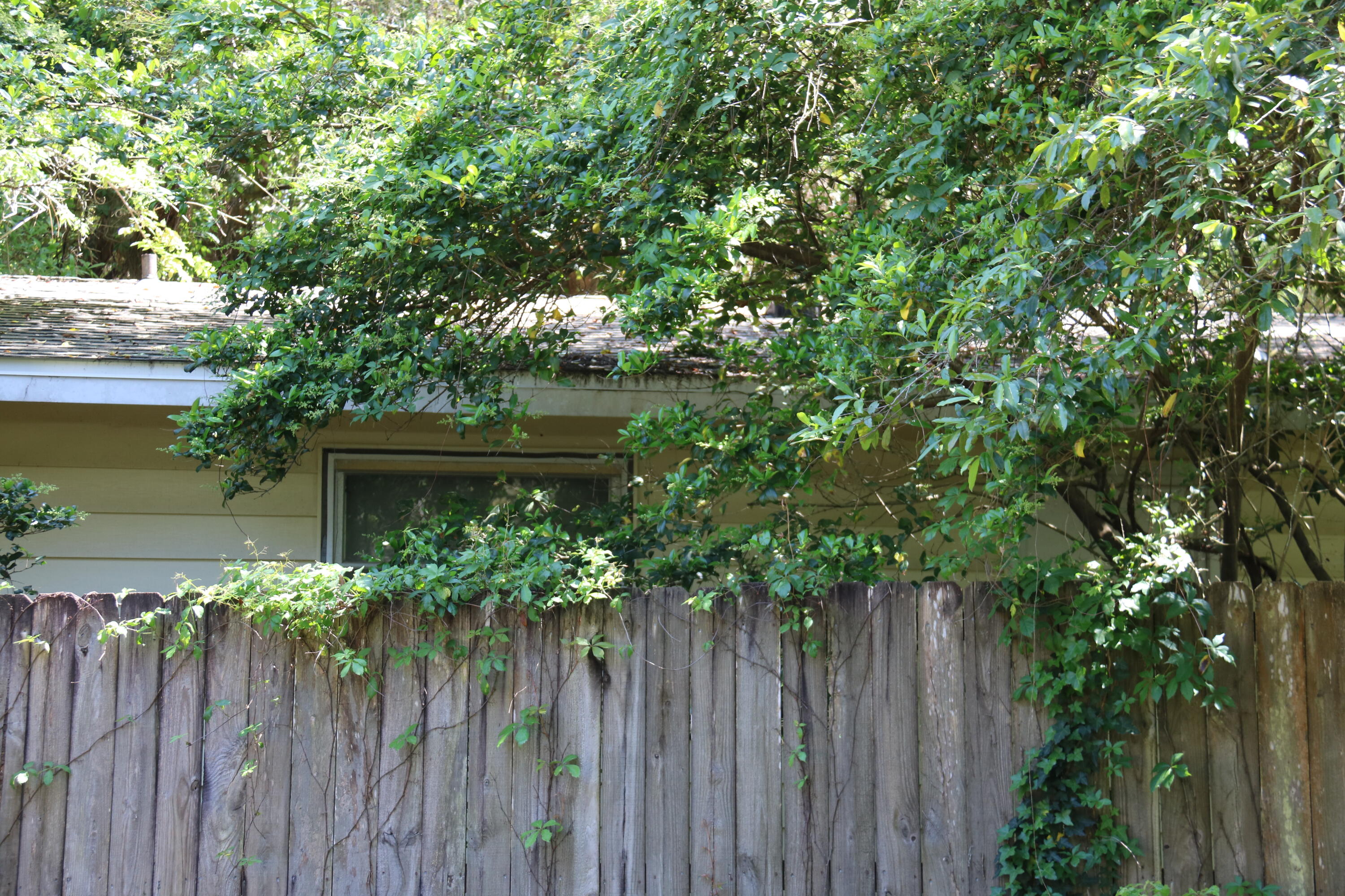 EAST WRIGHT - Residential