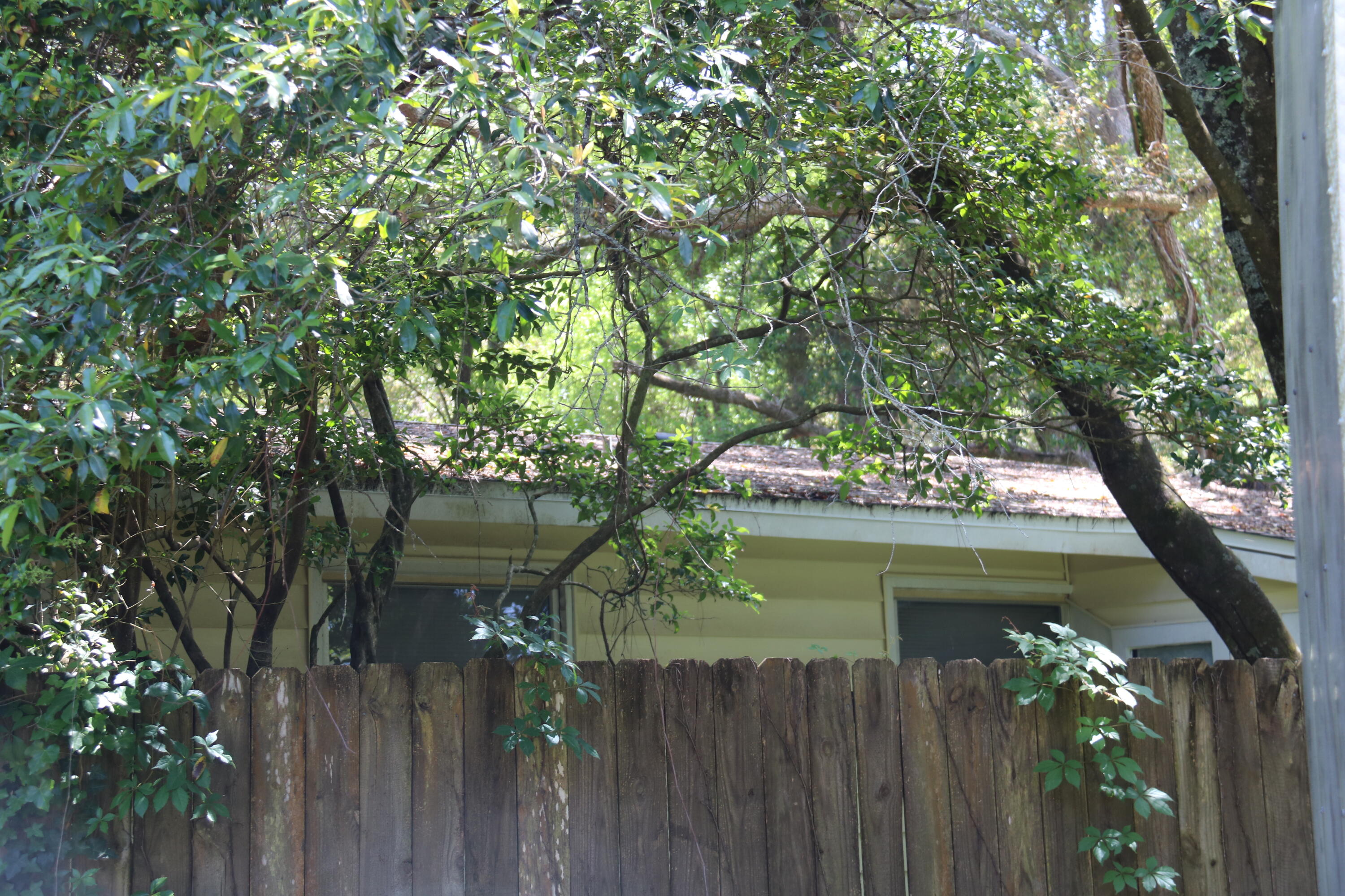 EAST WRIGHT - Residential