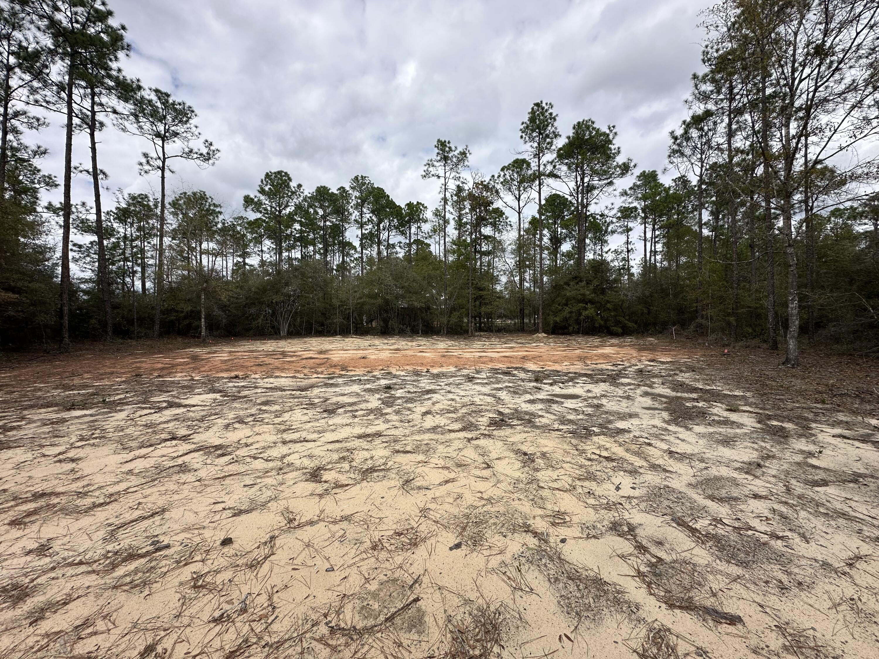 RUSTLING PINES - Land