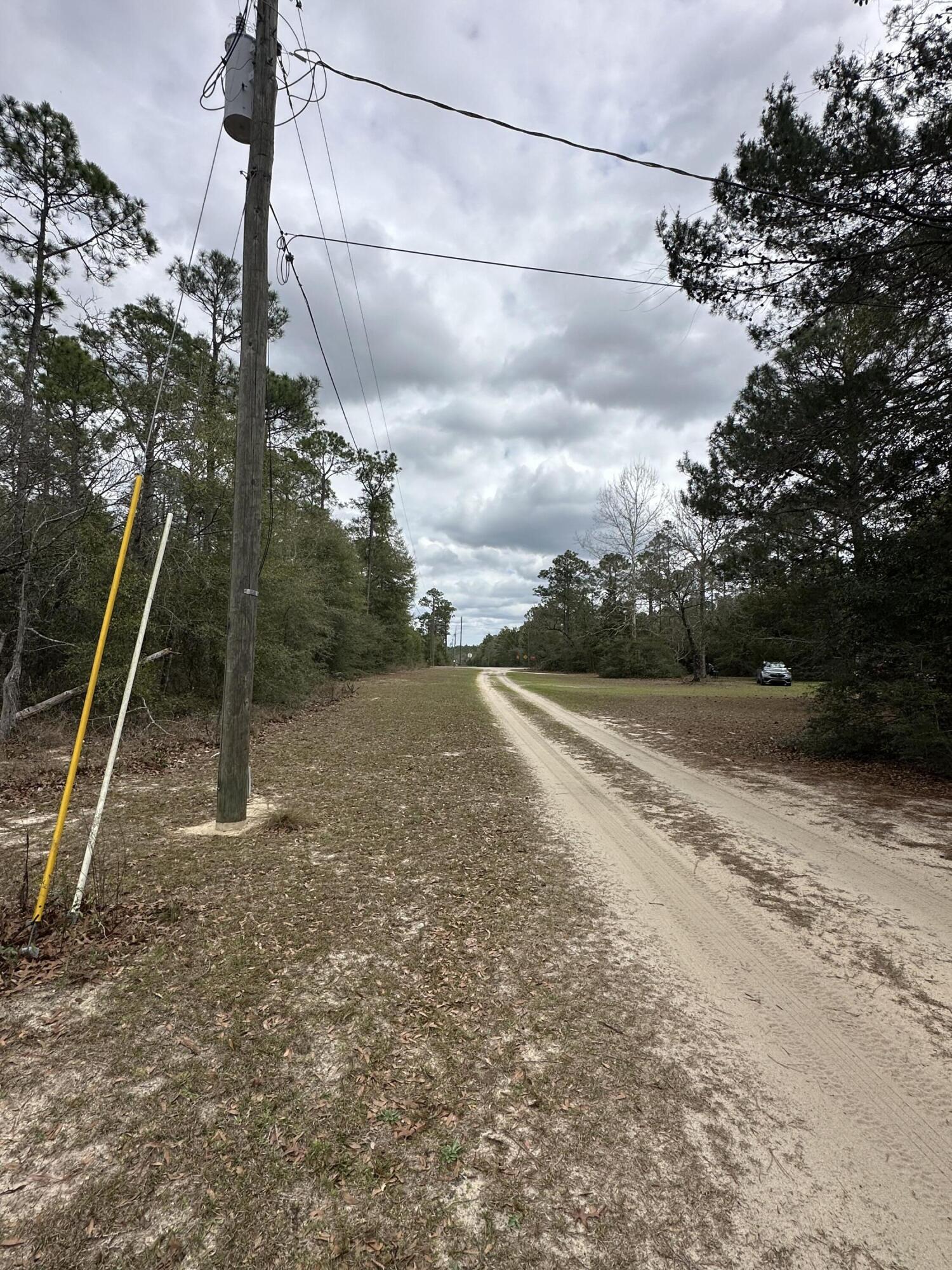 RUSTLING PINES - Land