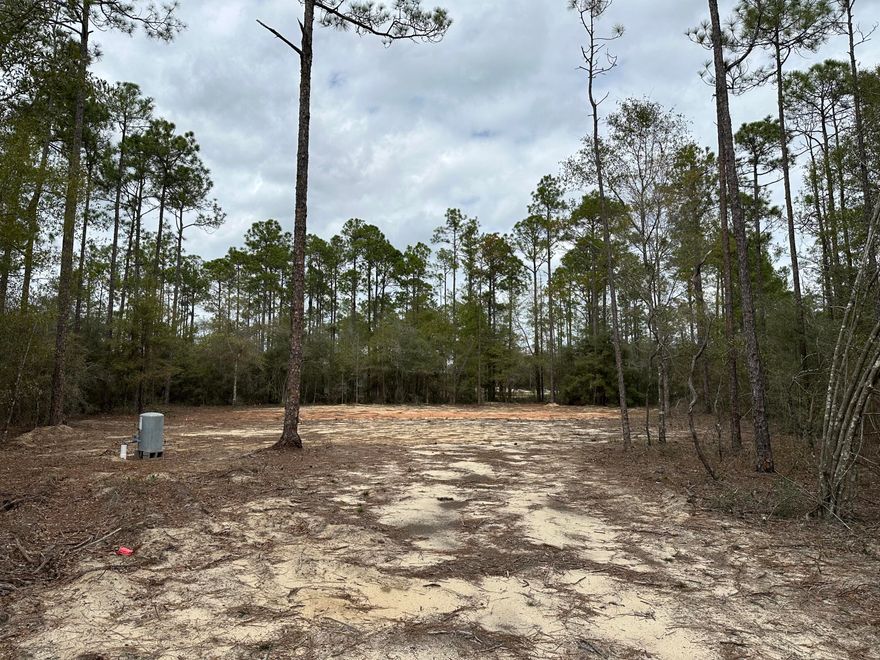 Over1 acre of land cleared and ready for your dream home! This parcel is ready to go with all of the hard work done to include driveway, well and septic in place. The clearing is set back off of the road to give a feeling of privacy and seclusion. Mobile homes are allowed or bring your house plans. Located just 5 miles from downtown DeFuniak Springs, this location offers convenient commutes to Eglin AFB, Crestview and of course, the beautiful beaches of South Walton County.