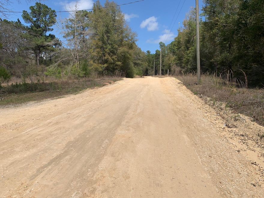 This is vacant land in a natural state.  Electric power and natural gas connections are accessible.  It is a 47 minute drive to Blue Mountain Beach in the Emerald Coast/30A area.  Buyer to verify all dimensions and suitability to purpose.