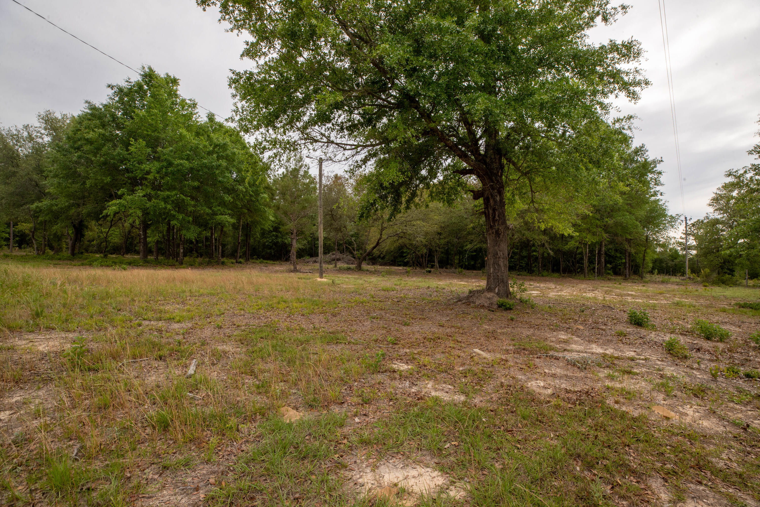 Poverty Crk & Dorcas - Land