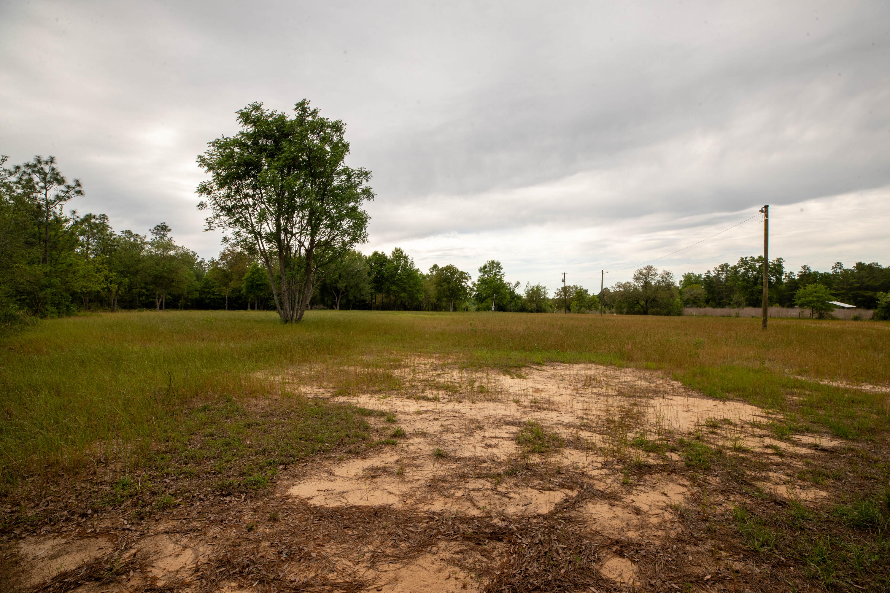 Poverty Crk & Dorcas - Land