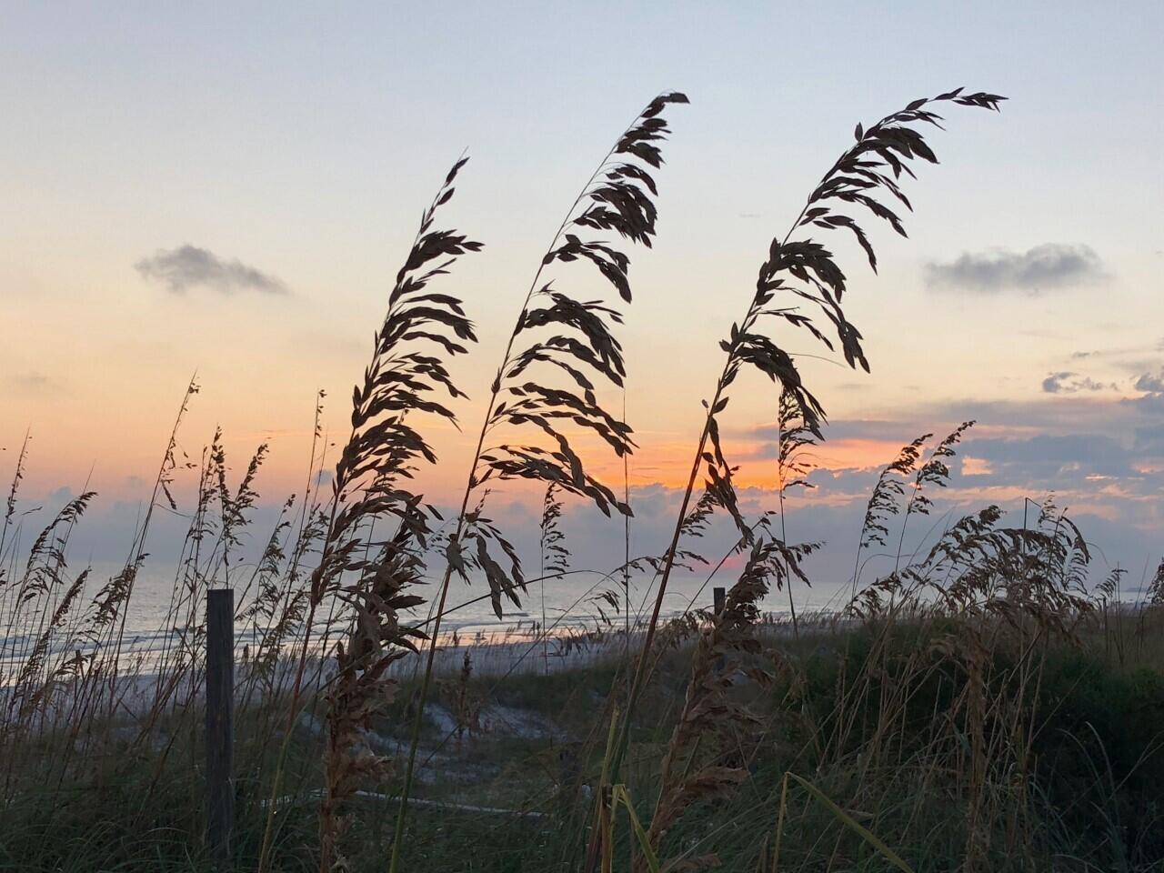 MALLET PINES UNREC - Land