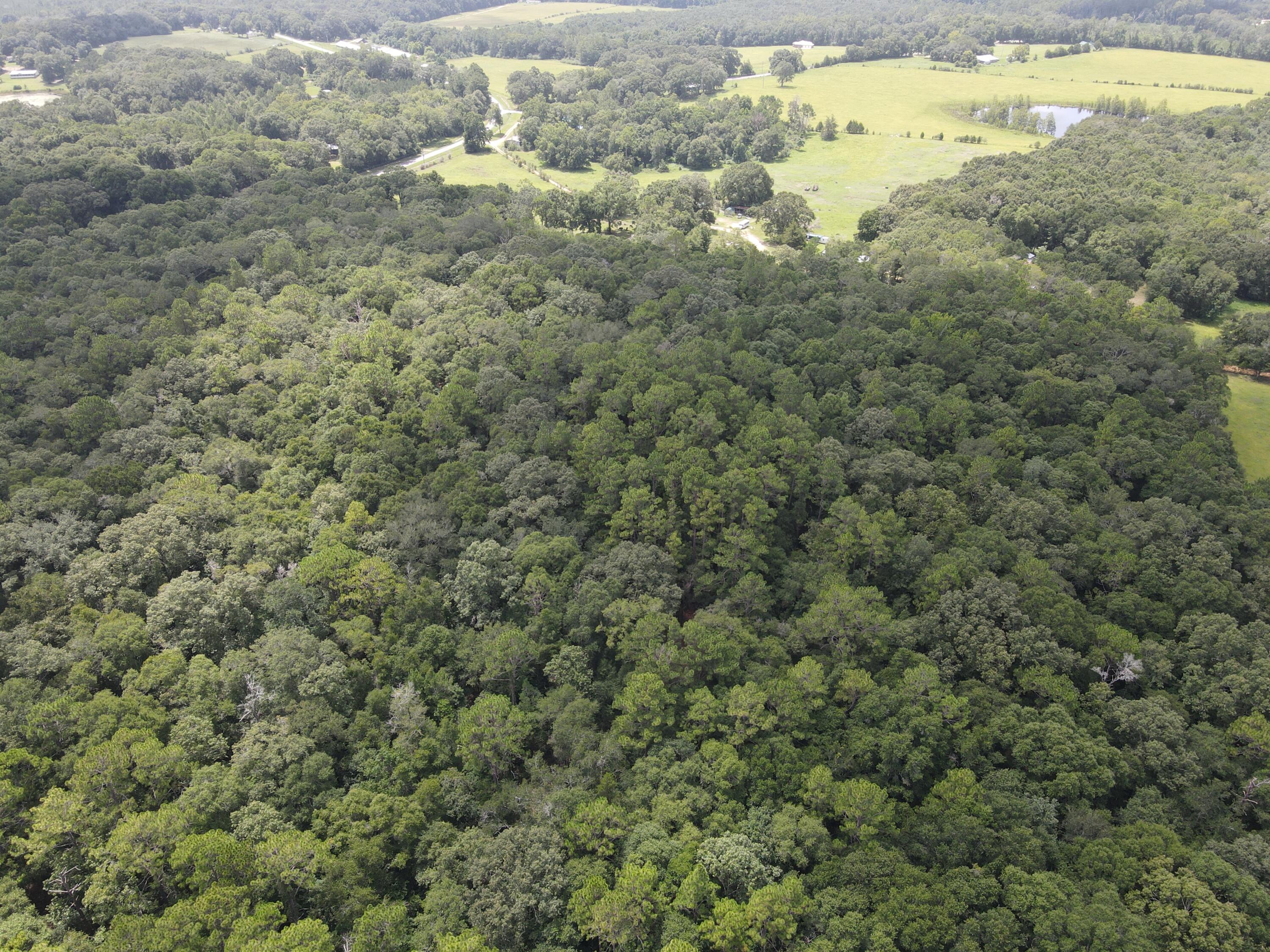 27+/- Ac E County Highway 181
