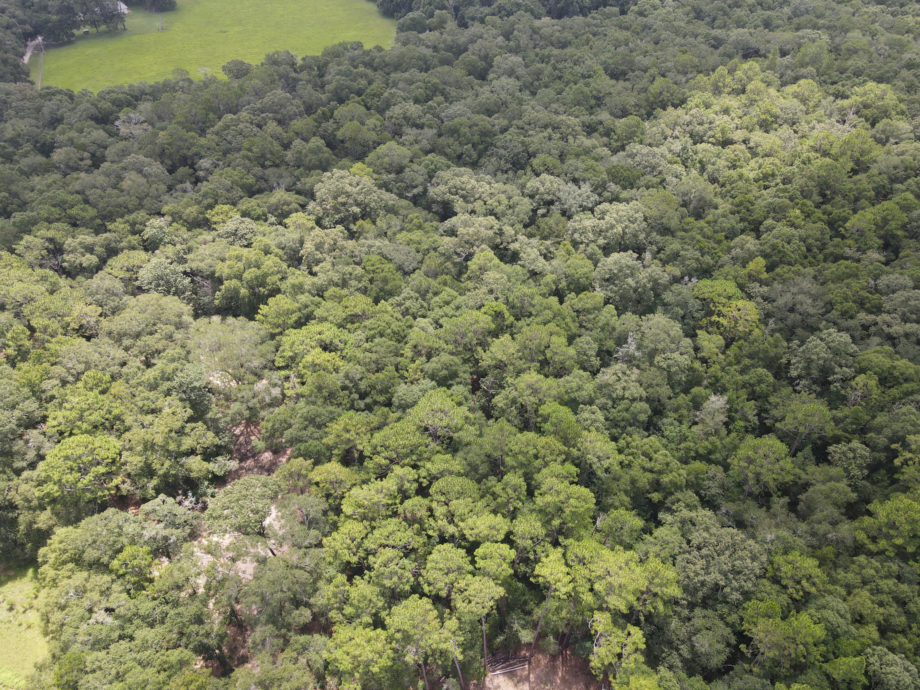27+/- Ac E County Highway 181