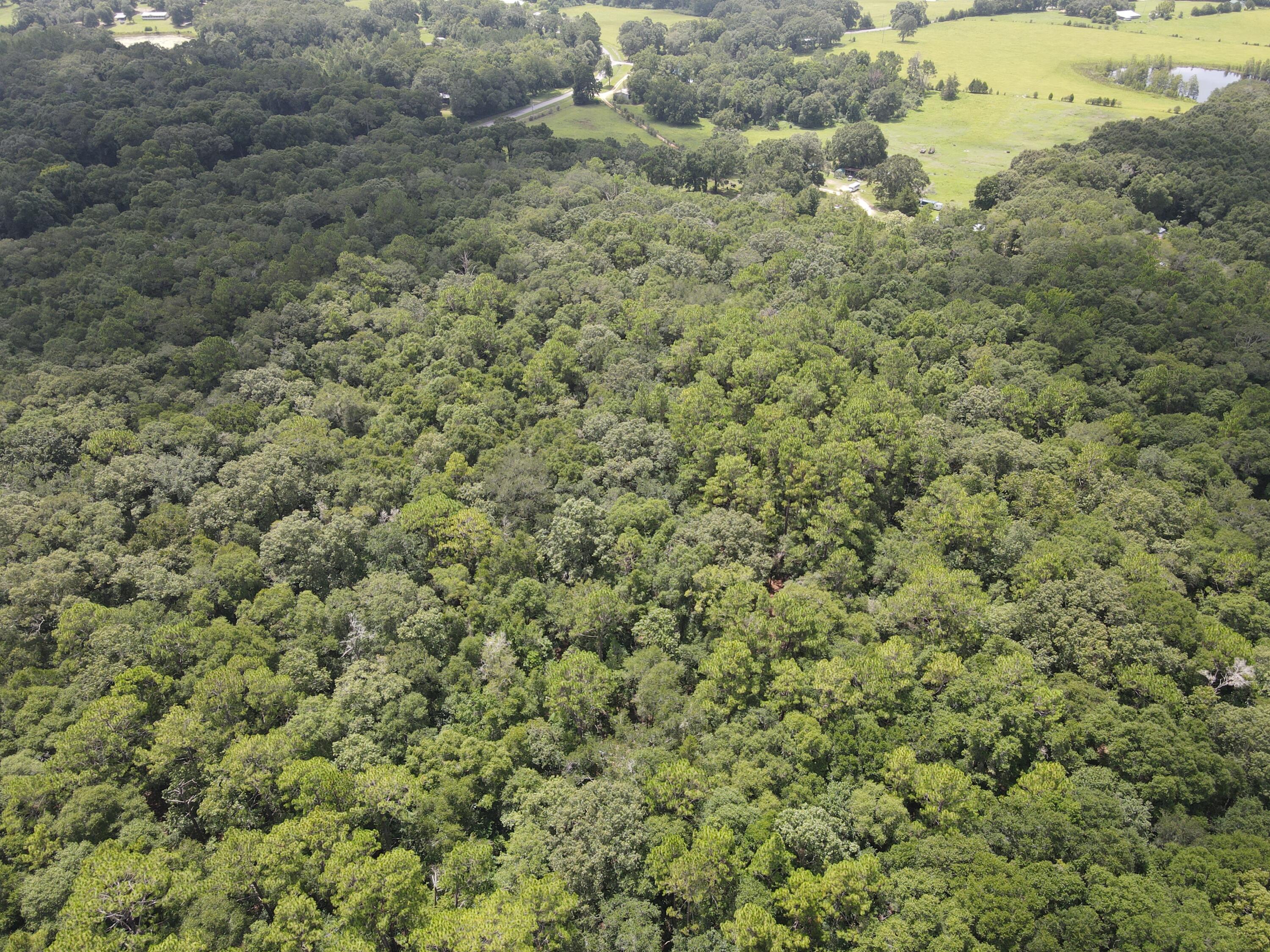 27+/- Ac E County Highway 181