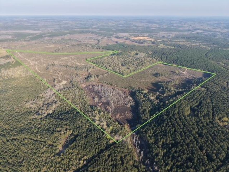198 +/- acres in Holmes County offering excellent deer and turkey hunting. Ideal recreational tract with privacy, abundant wildlife, and endless outdoor opportunities.