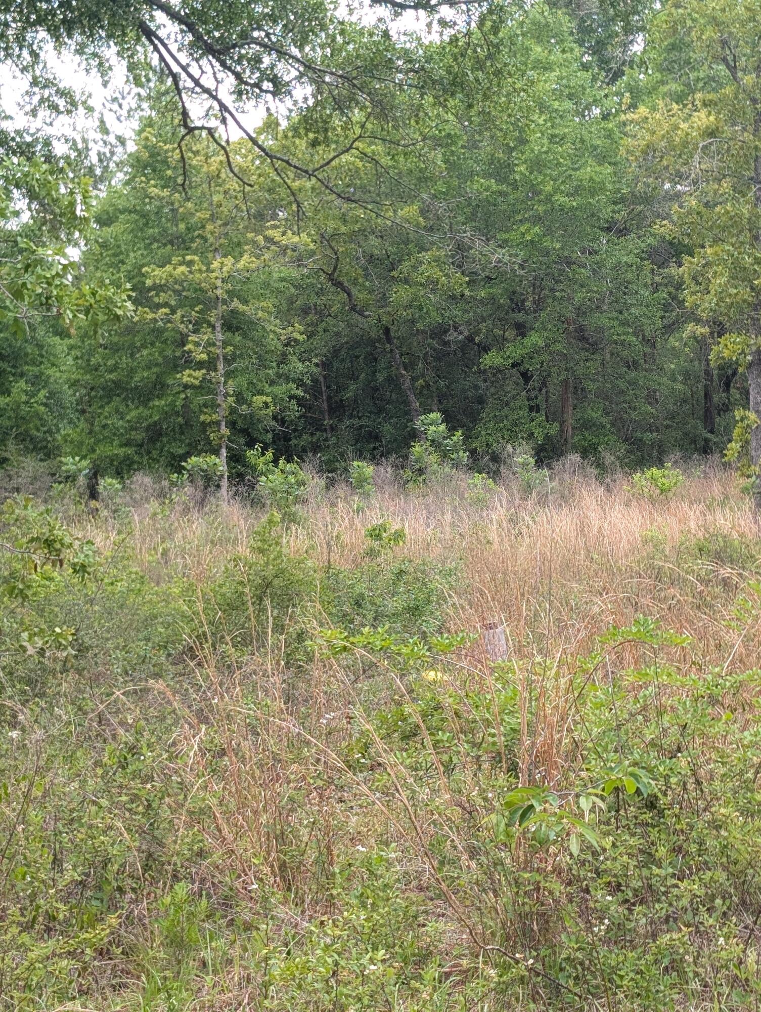 SHOAL RIVER FARMS UNREC - Land