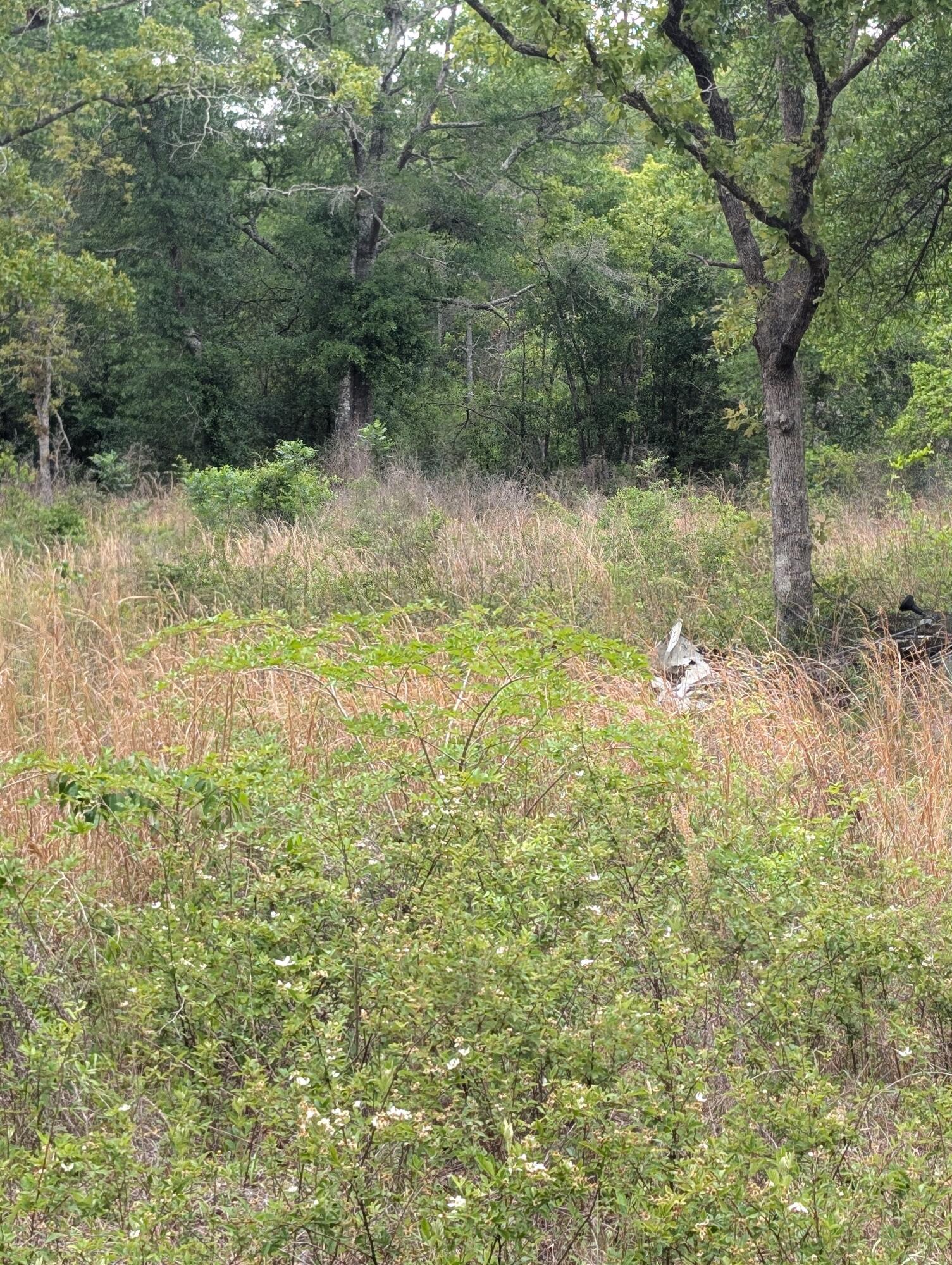 SHOAL RIVER FARMS UNREC - Land