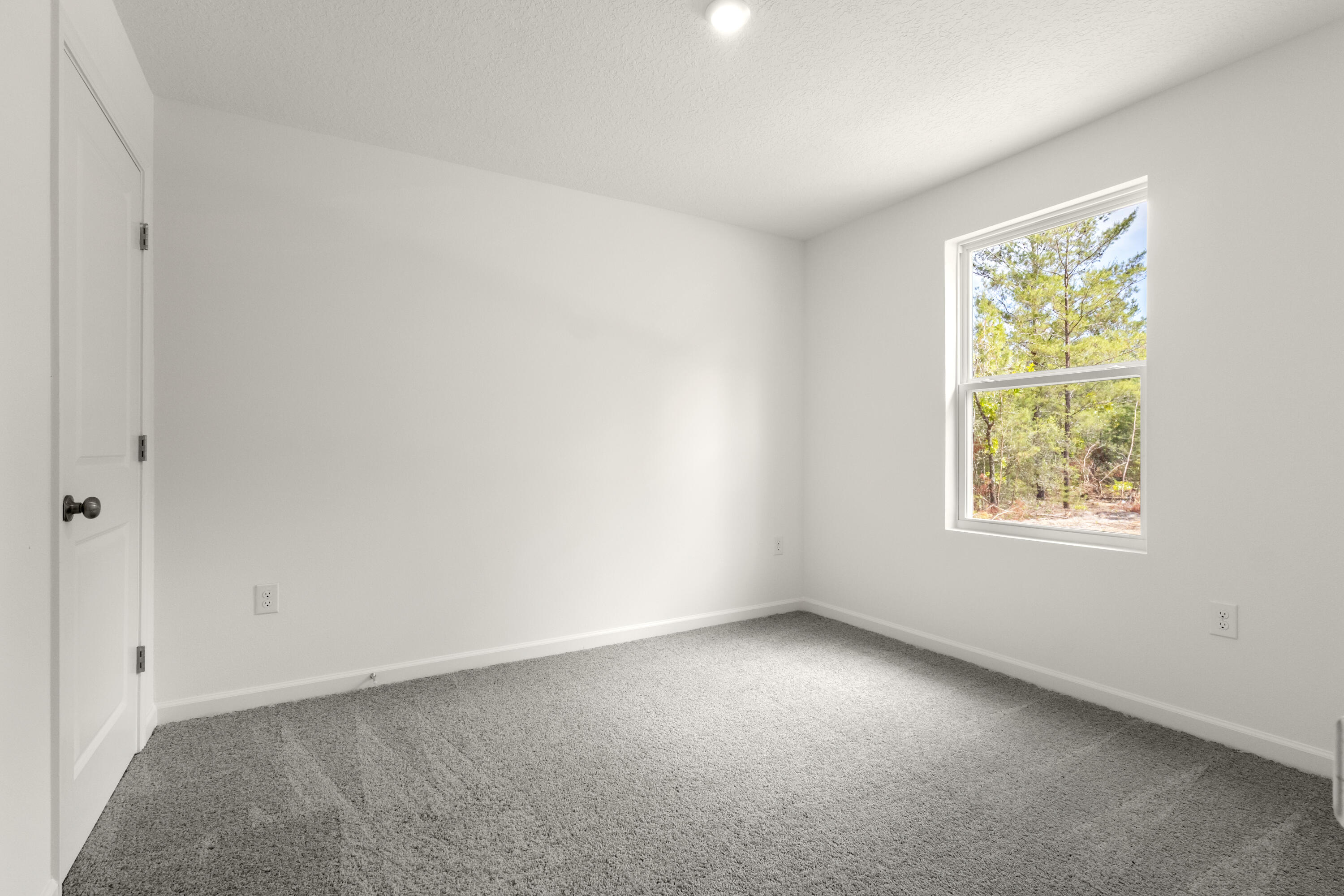 Mossy Head - Residential