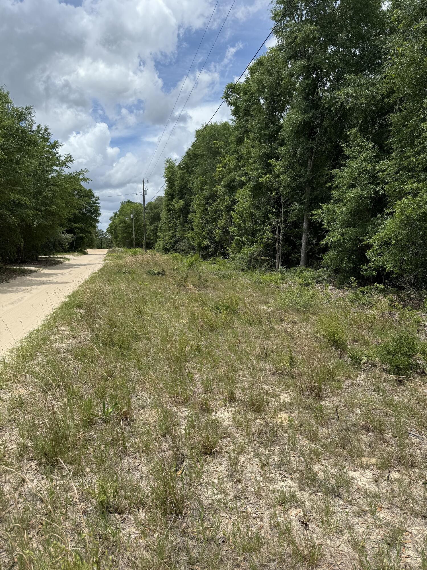 Pinetree S/D ALL BLK 33 - Land