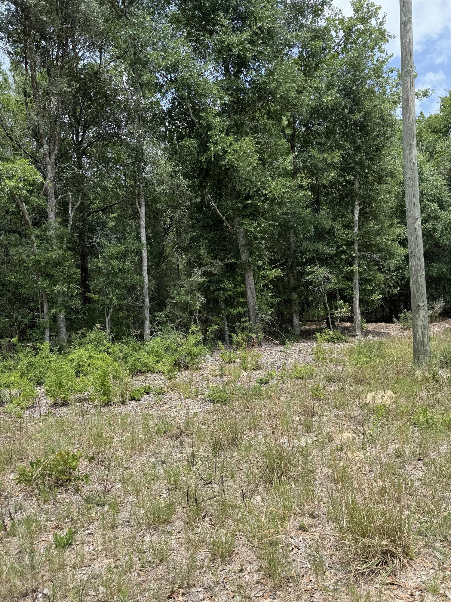 Pinetree S/D ALL BLK 33 - Land