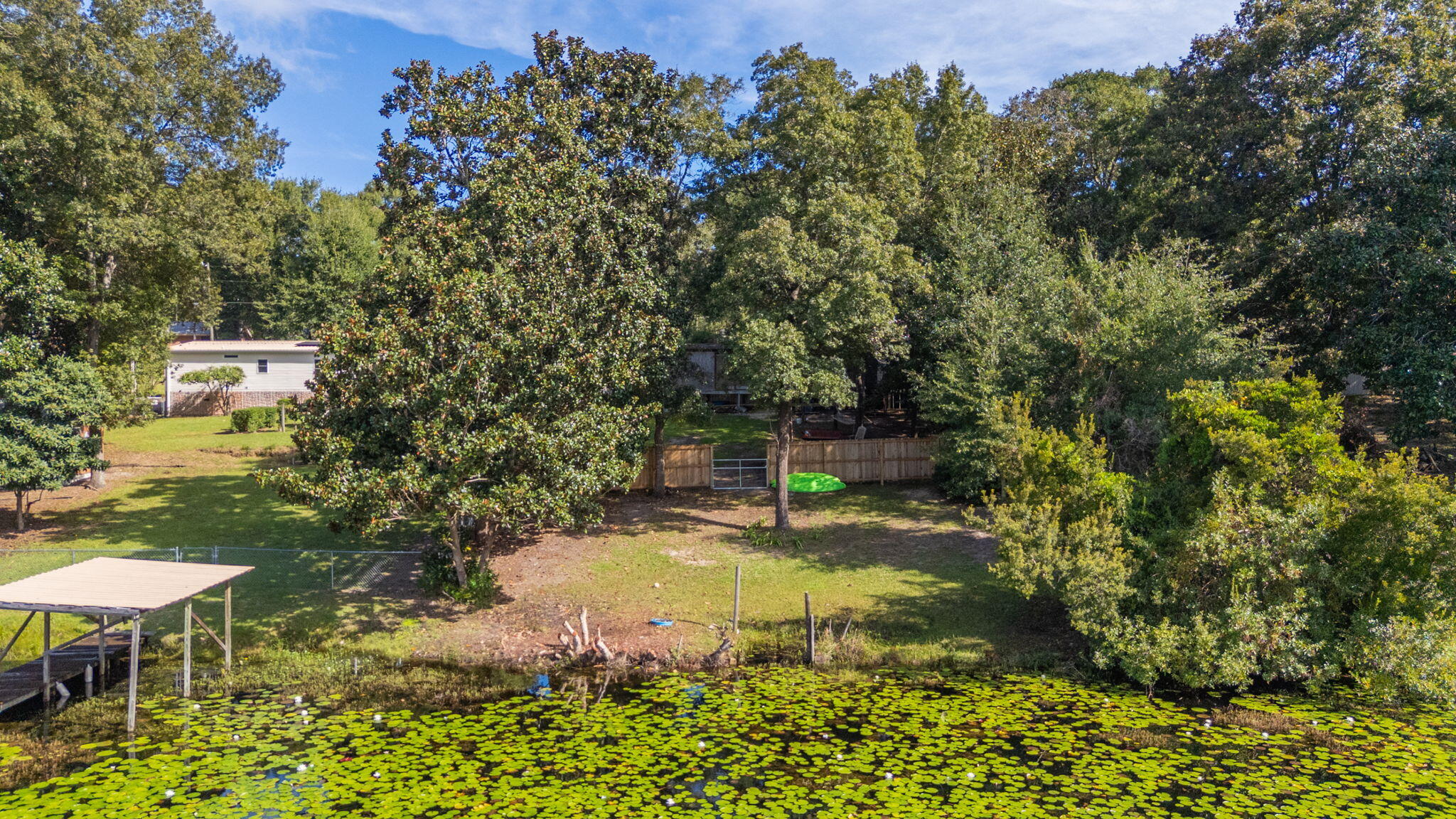 699 Squirrel Road