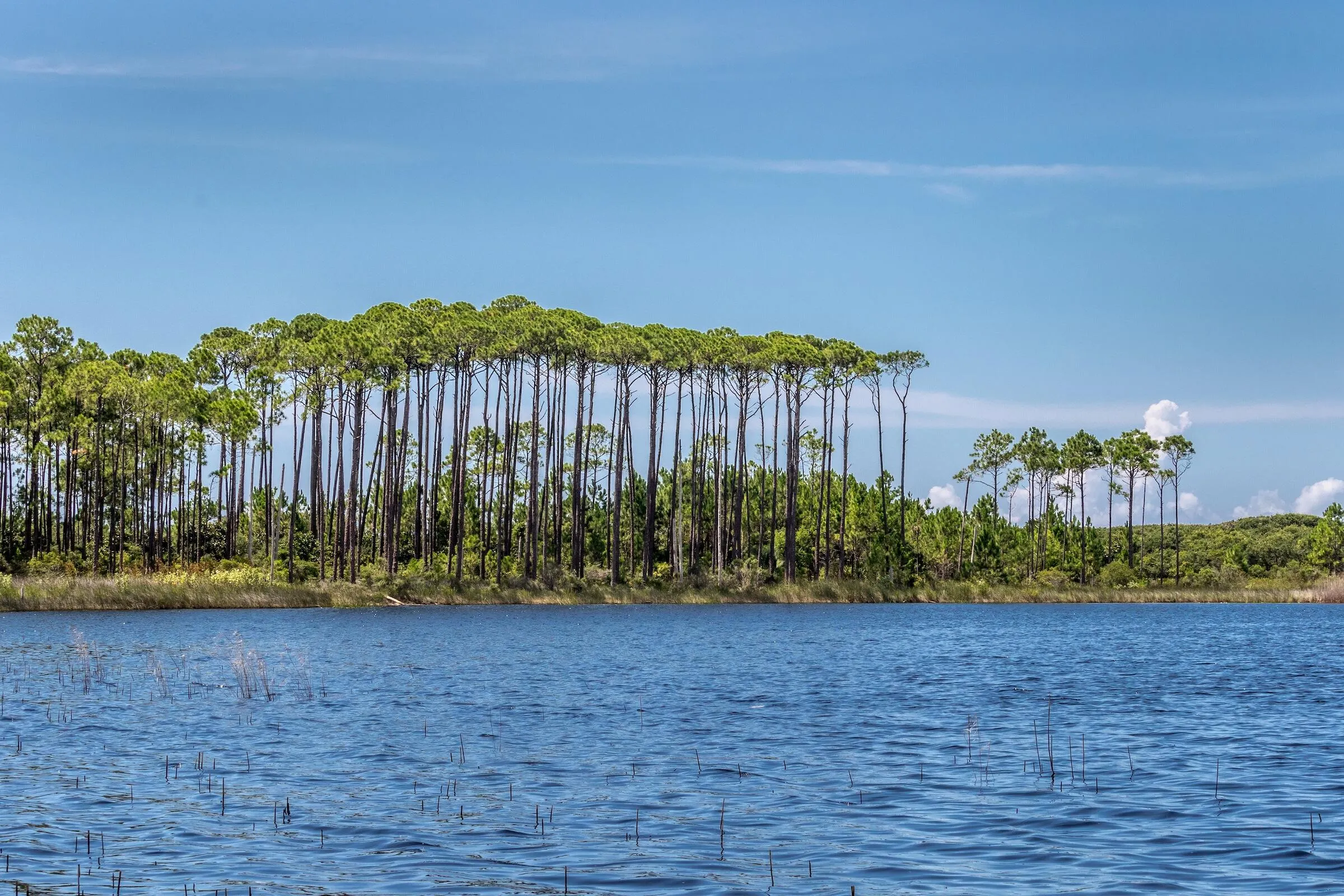 Santa Rosa Beach, Florida, 32459, United States, 5 Bedrooms Bedrooms, ,6 BathroomsBathrooms,Residential,Active,2044472