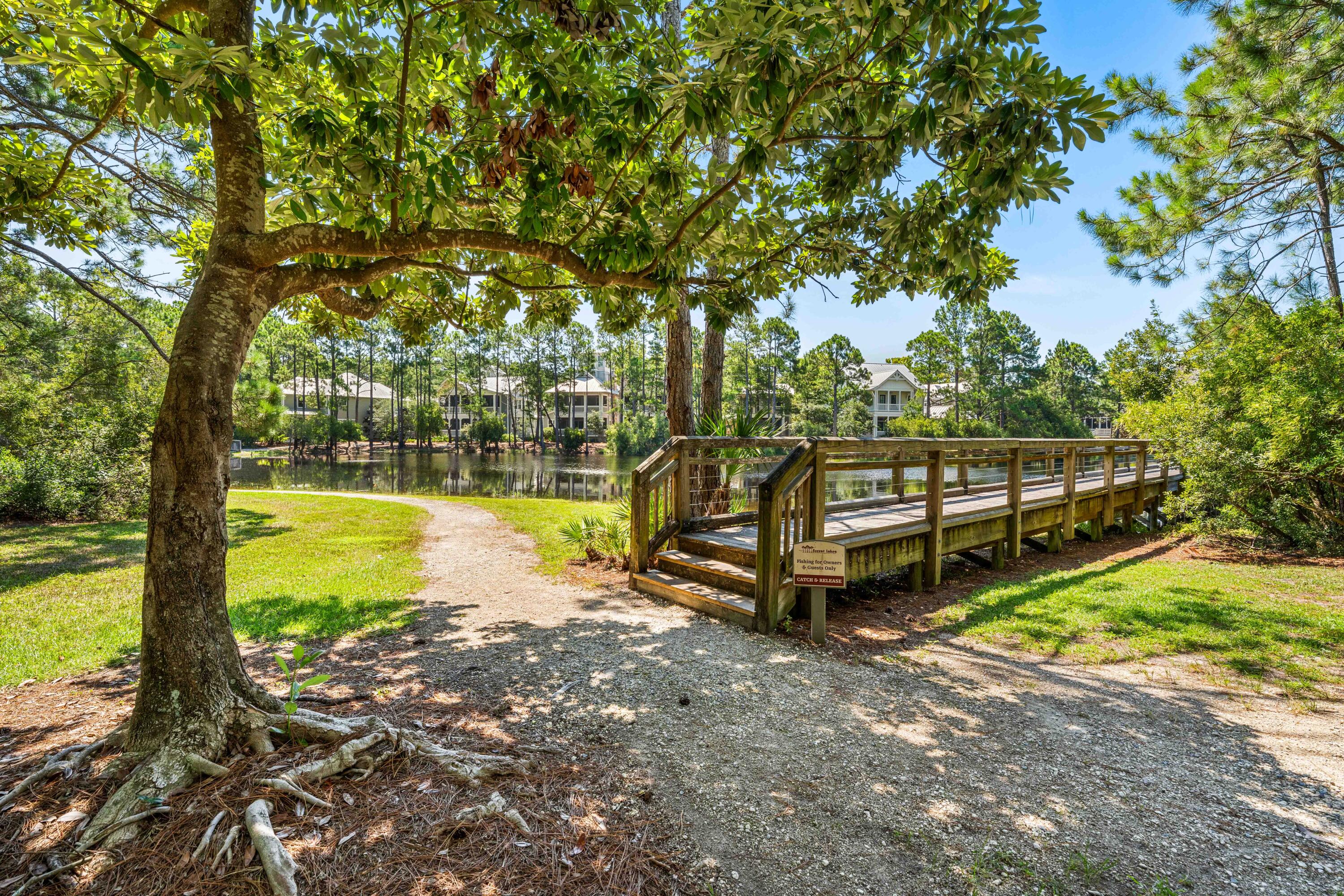 FOREST LAKES - Residential