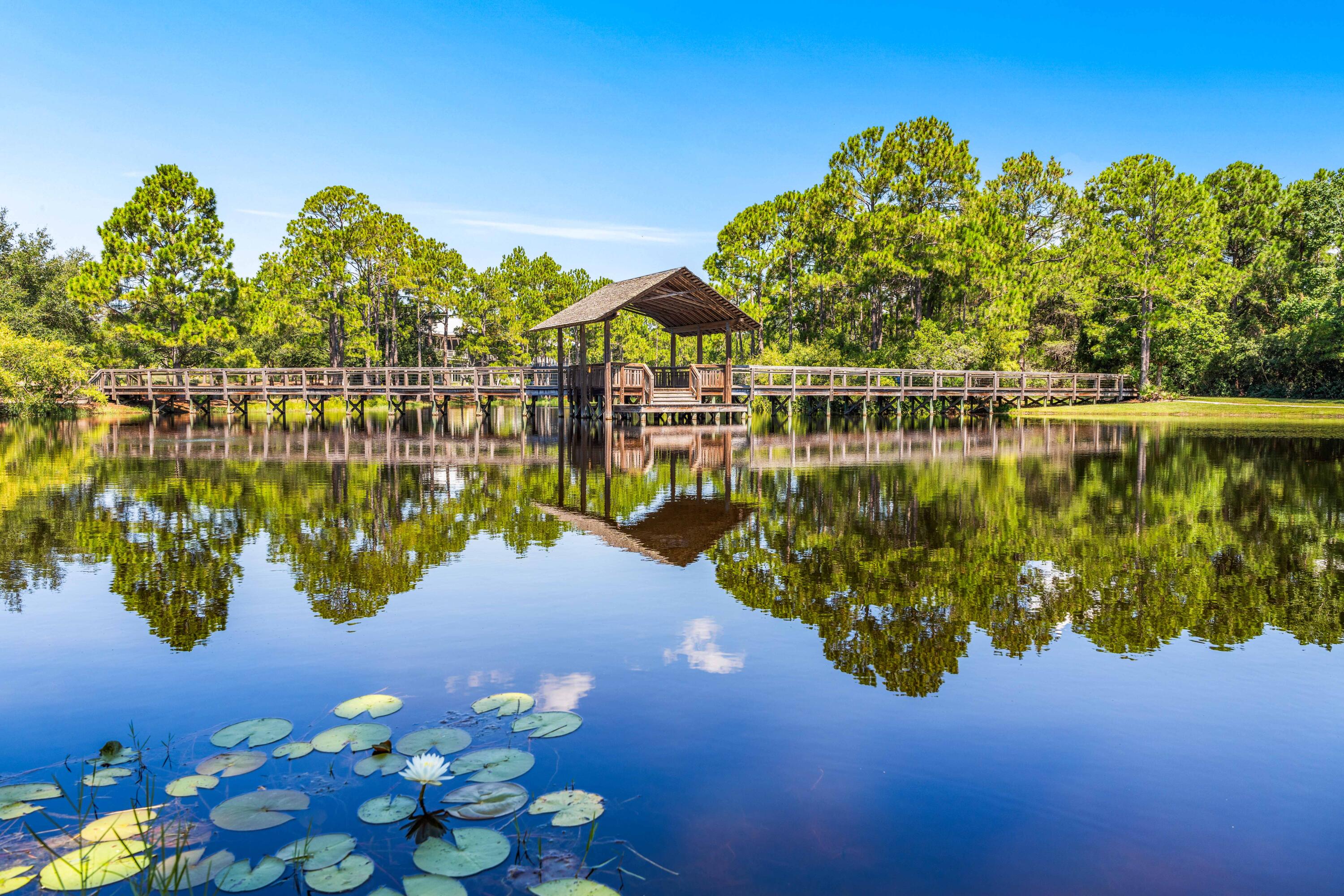FOREST LAKES - Residential