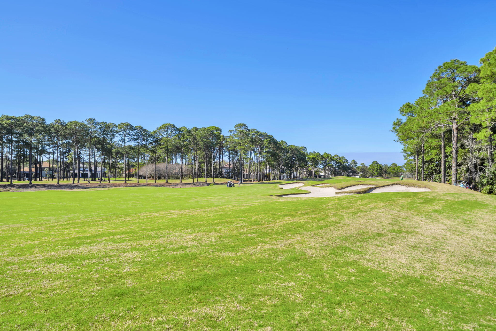 VINEYARD AT RAVEN OAKS - Residential