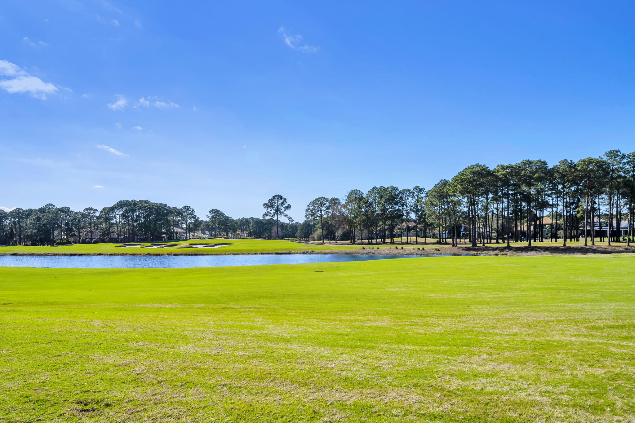 VINEYARD AT RAVEN OAKS - Residential