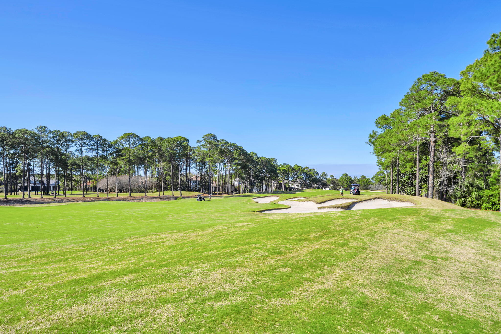 VINEYARD AT RAVEN OAKS - Residential