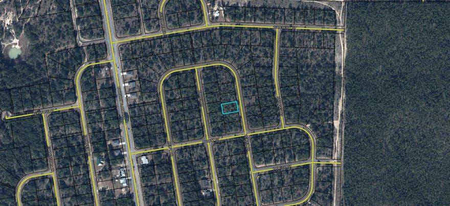 This lot is priced right and ideal for a builder / developer. Large .229 acre lot is a plus for a builder or a family wanting to build and have a large yard as well as have distance between other home / land owners. Sunny Hills is ideal for someone wanting country living with clubhouse and golf course without paying high HOA fees. Other than the clubhouse and beautiful Green Golf turf, Sunny Hills offers numerous lakes with white sandy beaches and clear water throughout for recreational activities such as swimming, boating, and fishing, but also provides a short drive, approximately 45 minutes to Panama City beaches, entertainment, dining, malls, and airport.