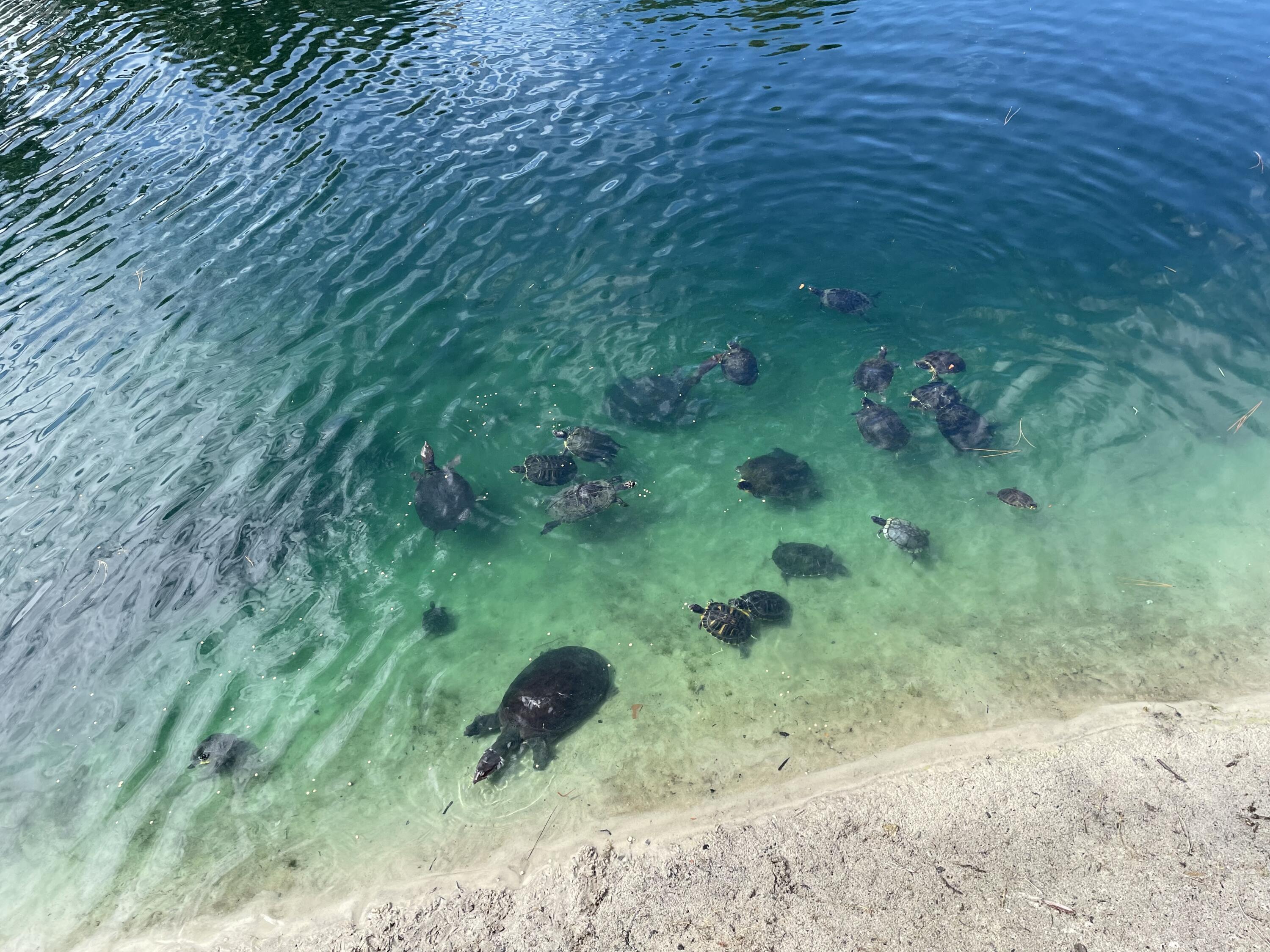 Calusa Bay - Residential