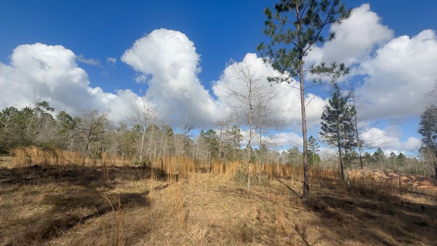 Vacant land offering 18.69 acres (Parcel ID: 02-2N-30-0000-00173-0000) with an additional adjoining 15.09-acre parcel (Parcel ID: 02-2N-30-0000-00174-0000) also available for purchase. Combined, both properties total 33.78 acres of private land.

This property is accessed by a shared easement with two other owners and zoning does not allow development, making it ideal for those seeking a private recreational retreat, family compound, or outdoor getaway. The land features natural topography, a creek running through the property, and areas suitable for wildlife and deer plots, creating an excellent setting for nature enthusiasts and hunters.

With plenty of room for recreational vehicles, four-wheelers, and outdoor activities. All showings must be booked & accompanied by a realtor Partially cleared areas provide opportunities to create trails, gathering spaces, or a private escape surrounded by nature.

Enjoy the balance of seclusion while still having convenient access to nearby grocery stores and everyday essentials. Located less then ten minutes from New "Wallace lake K-8", approximately 40 minutes to downtown Pensacola, and about 50 minutes to the beautiful white sand beaches of Pensacola Beach.