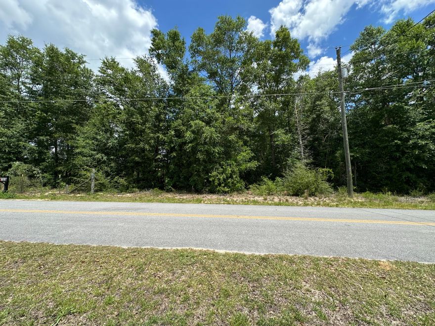 Large .33 acre, affordable lot in a wonderful, small, neighborhood with newer built homes.  Ideal as a primary home or 2nd Home, savor quiet living with NO HOA just minutes to the Golf & Recreation Park, Shooting Range and major freeways.  Located just 12 min away, enjoy the quaint shops & restaurants of historic Defuniak Springs.