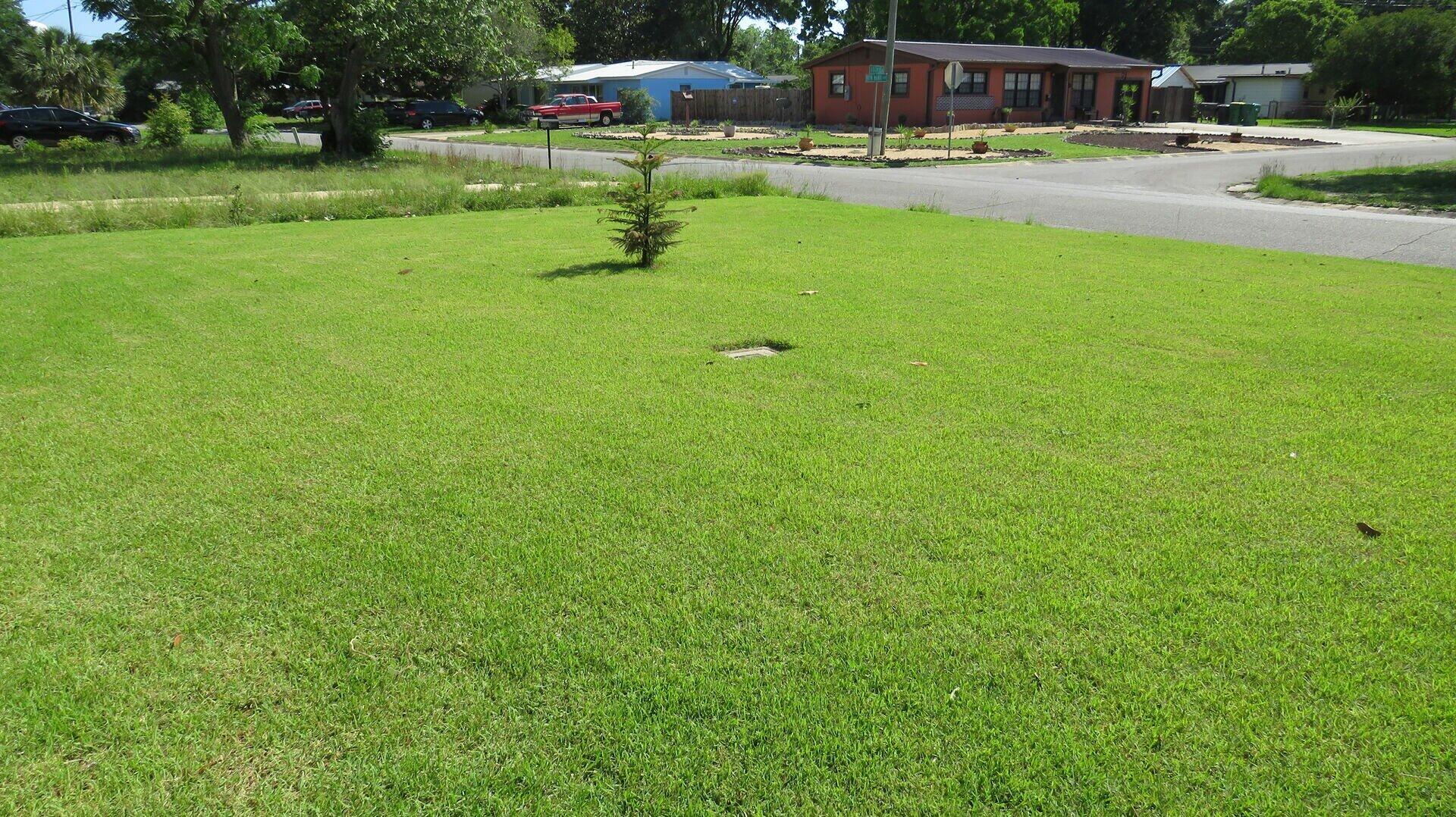 BRYN MAWR PARK - Residential