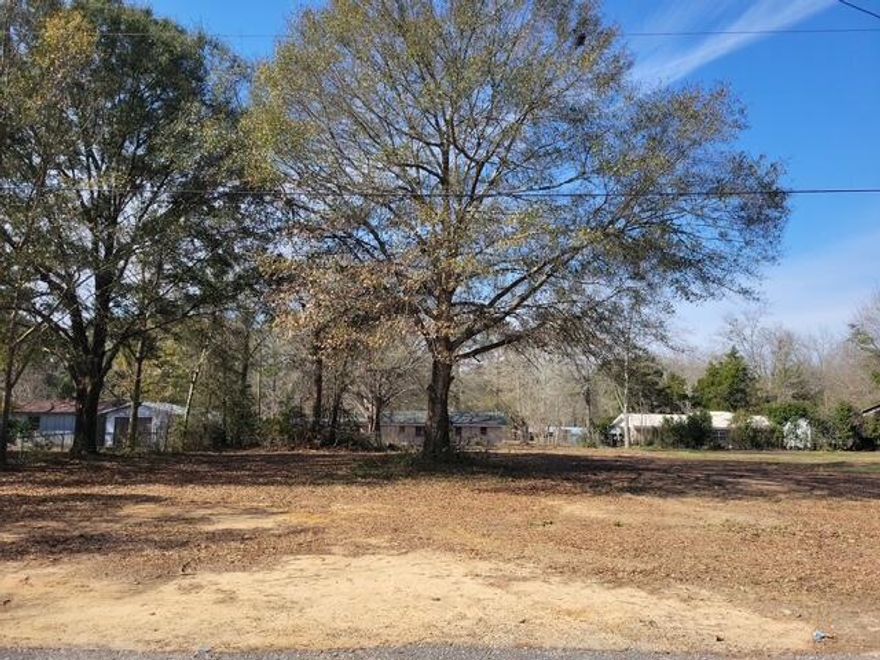 Ready to build your new forever home, rental property or your new manufactured home? Vacant and cleared lot in Paxton. Dimensions are 75 x 150. Public water and sewer are available, please verify various impact fees with the city of Paxton, FL. Go take a look today.