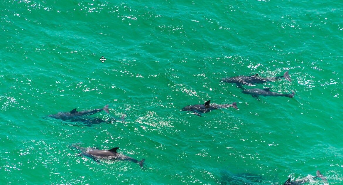 SUGARWOOD - Residential