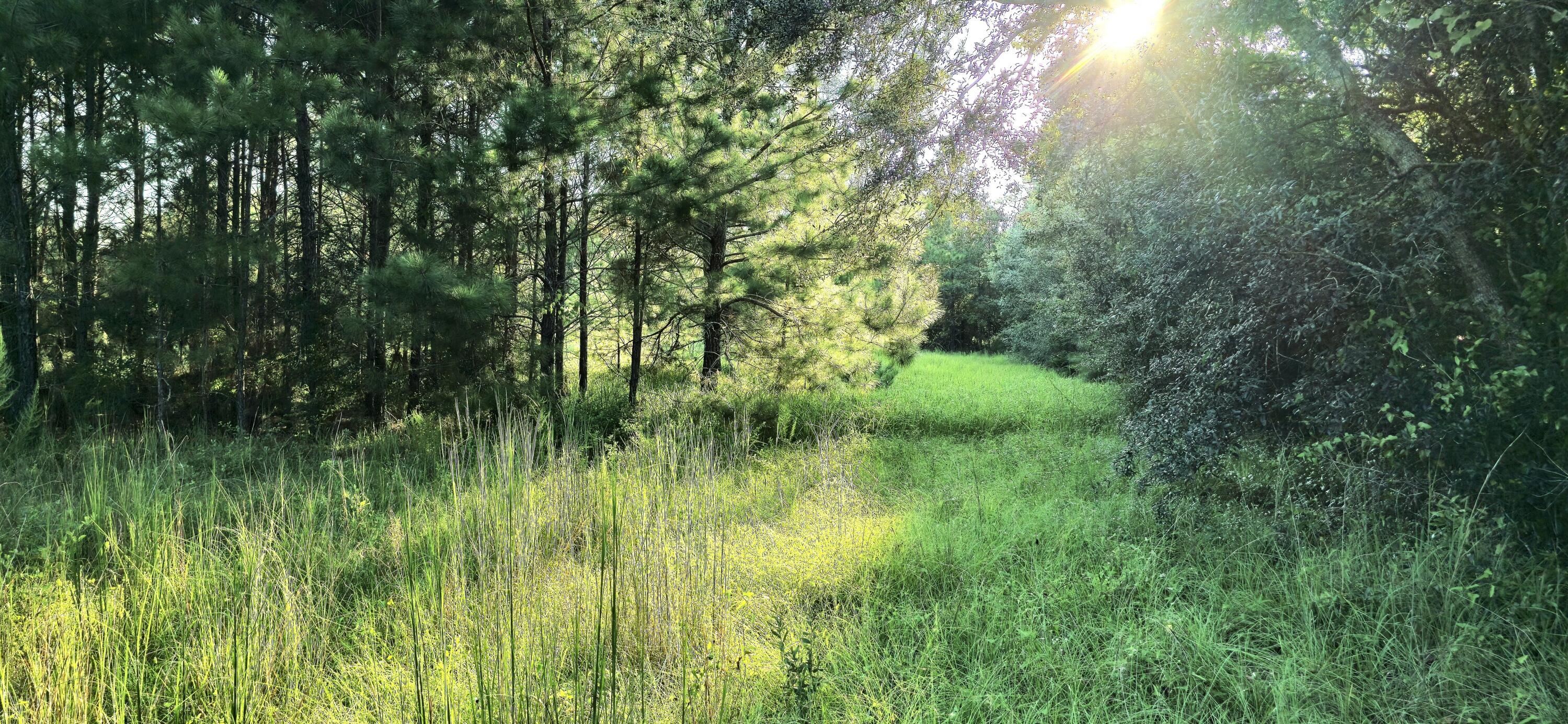 NO RECORDED SUBDIVISION - Land