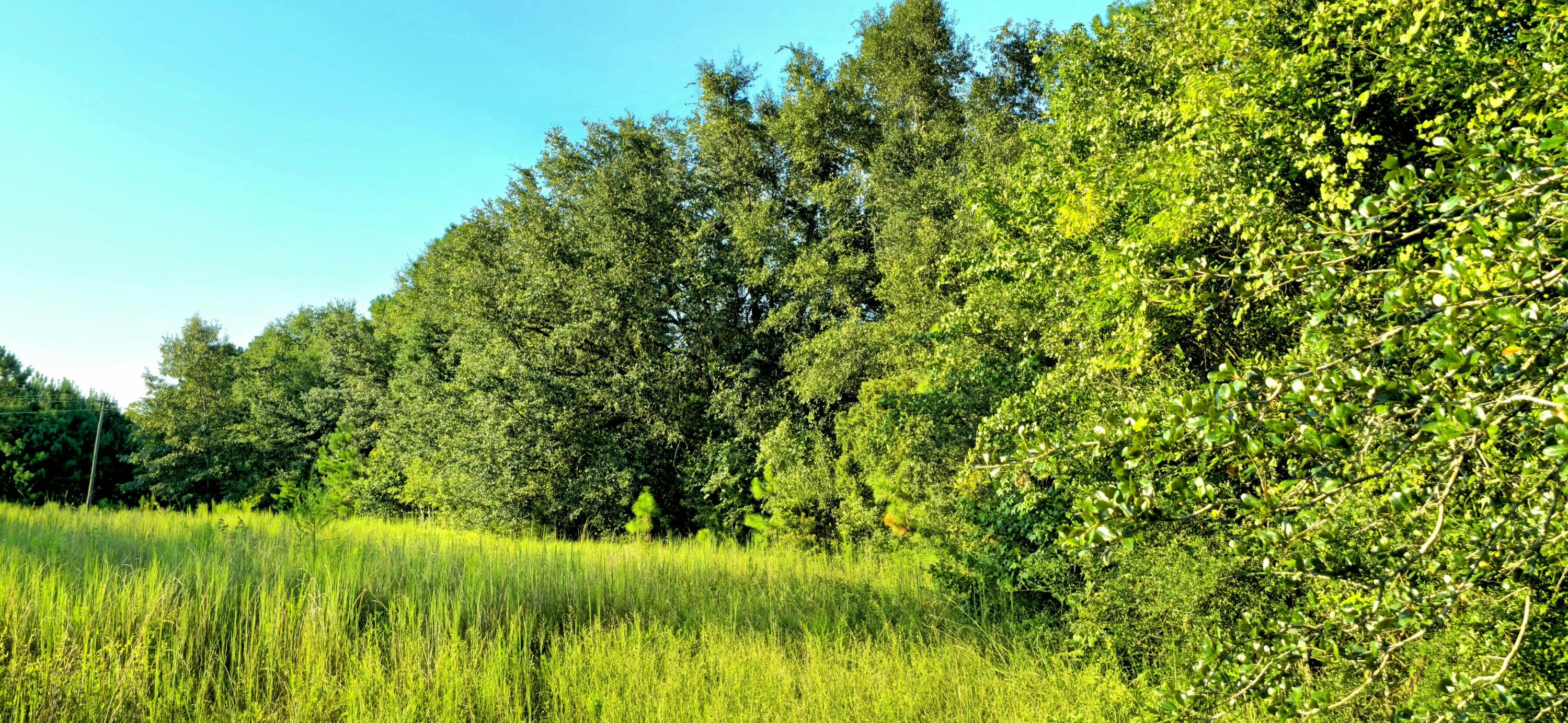 NO RECORDED SUBDIVISION - Land