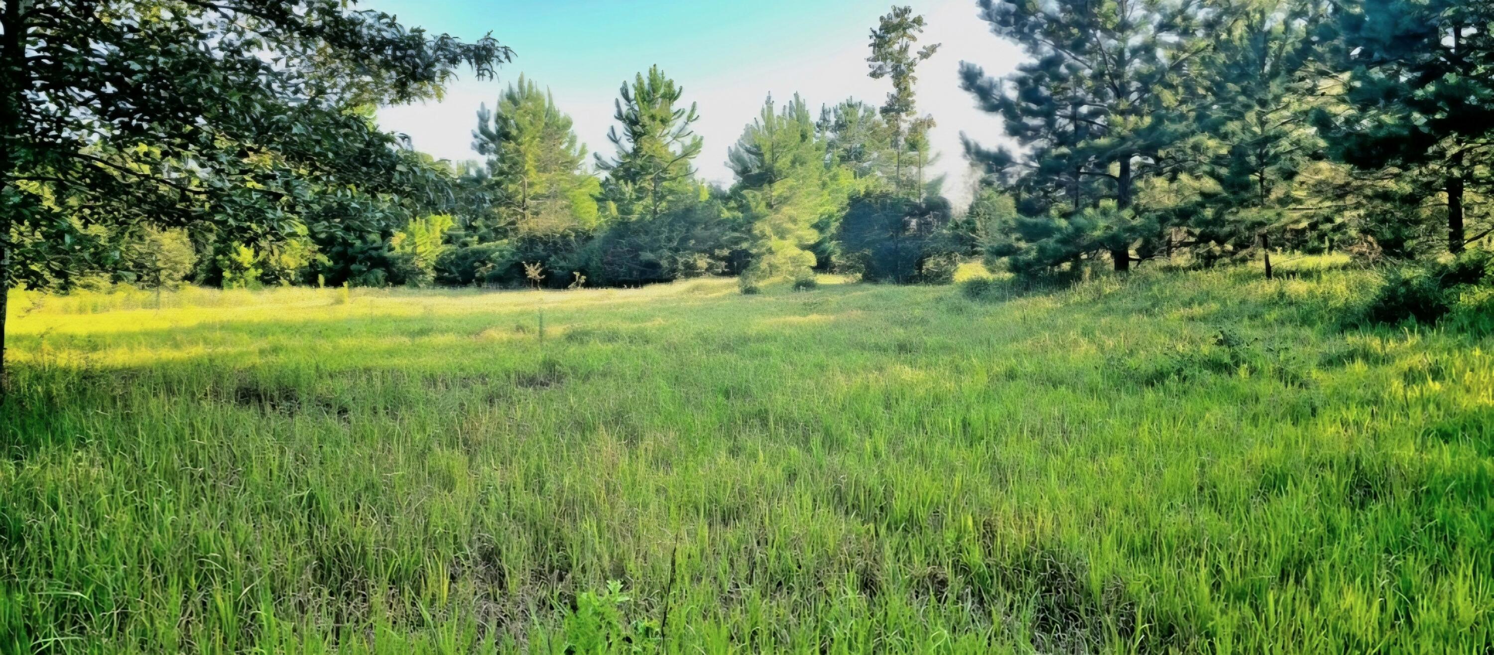 NO RECORDED SUBDIVISION - Land