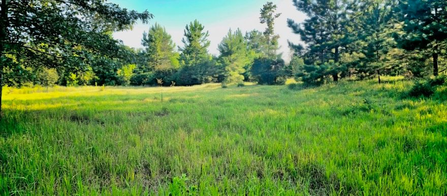 There's ordinary land, and then there's estate land. This is estate land. 33.2 acres of wooded privacy with mature live oaks, open clearings, and multiple homesite options, offering the feel of a private retreat with space to create something truly special. Frontage on County Road 177A with additional access from a southern easement provides both convenience and seclusion. Located just 4 miles from Bonifay, about an hour to Panama City Beach, 50 minutes to Northwest Florida Beaches International Airport, and 15 minutes to Tri-County Airport. Protective covenants help preserve the surrounding area, making this a rare opportunity for a private estate, homestead, or retreat. The property offers a natural mix of hardwoods and open areas, creating flexibility for a homesite, barn, or additional structures. Ideal for an equestrian setup, multi-generational living, or a private homestead, with room to spread out while still within easy reach of town and I-10. Wildlife is common throughout the property, adding to the quiet, private setting. Covenants and restrictions help protect surrounding parcels and long-term value.