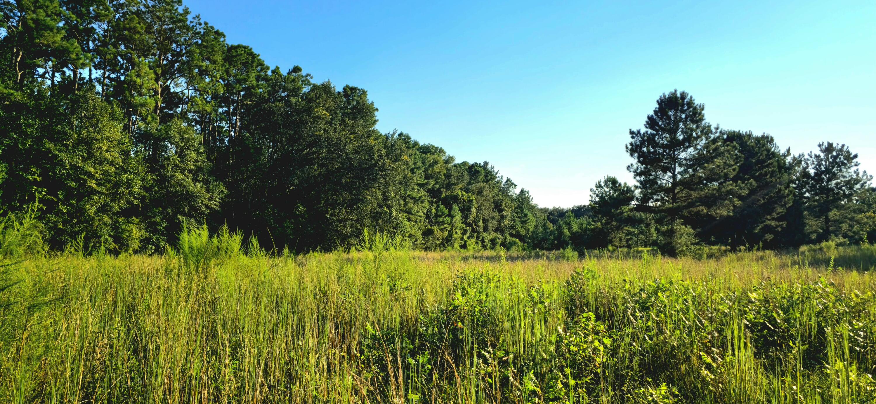 NO RECORDED SUBDIVISION - Land