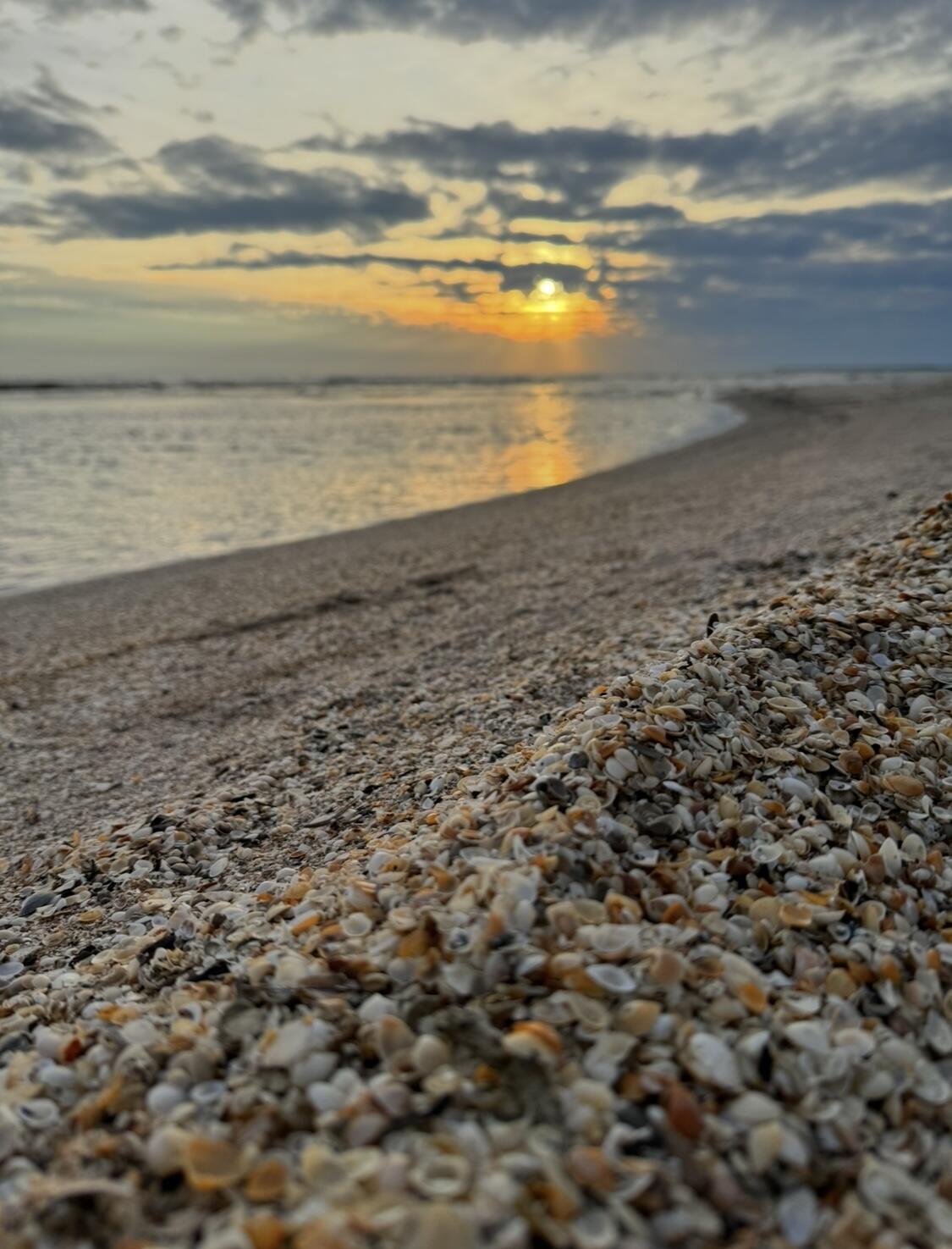 GULF PINES - Residential