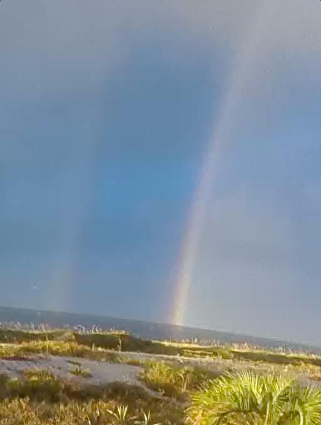 GULF PINES - Residential