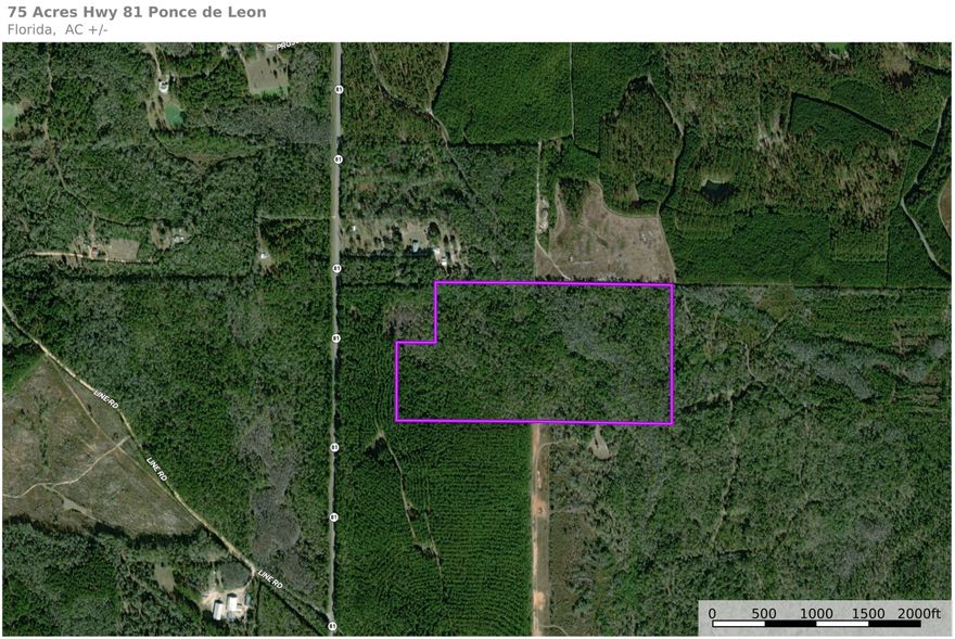 For sale in Ponce de Leon, Florida: A prime hunting or agricultural property featuring a mix of lush pine and hardwood timber. This versatile land offers excellent opportunities for recreation, timber investment, or farming. With its natural beauty and abundant wildlife, it's perfect for outdoor enthusiasts or those seeking a peaceful rural retreat. Don't miss the chance to own this exceptional piece of Florida countryside.