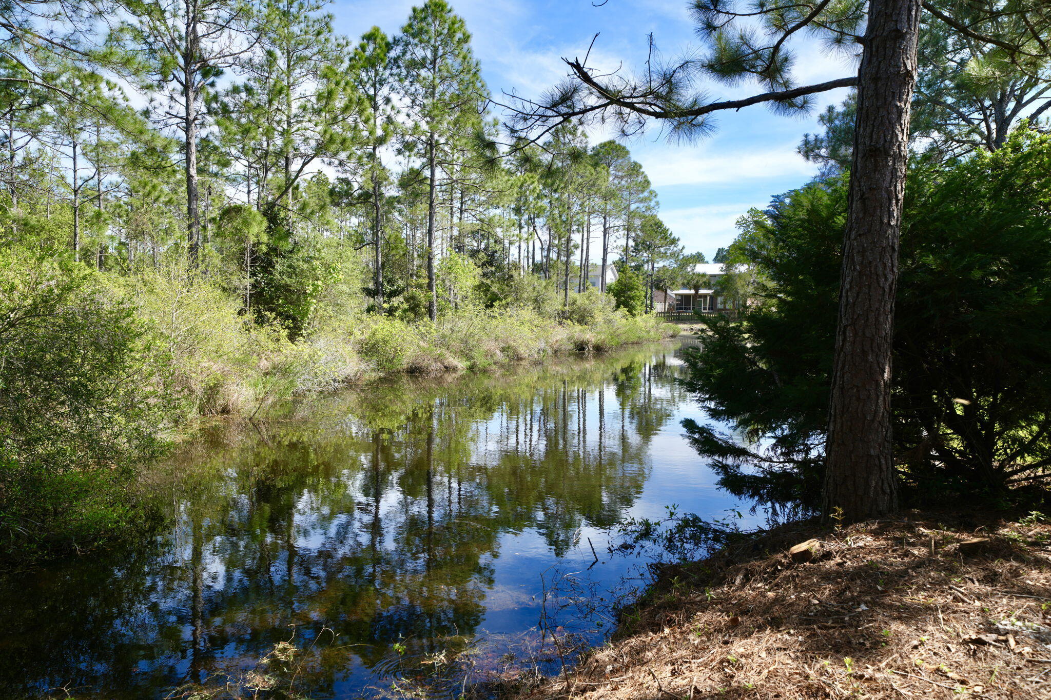 ESCADA - Residential