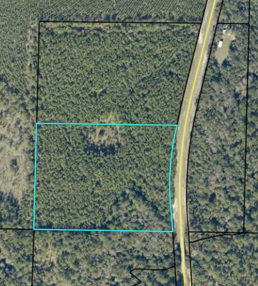 Highway 393 Frontage - Vacant, 13.18 Acre, wooded  land for your dream home!  Parcel has over 600 feet of Highway 393 frontage.  Ideal for the weekend get-a-way camp or permanent living with elbow room!  Have your own mini-farm with room for animals, horses  and more!  Located south of Hwy 2.  Area is growing with new developments and New State Park to the East.  Mossy Head to the East is adding new businesses as well.  Great time to purchase larger home sites while still affordable and available!