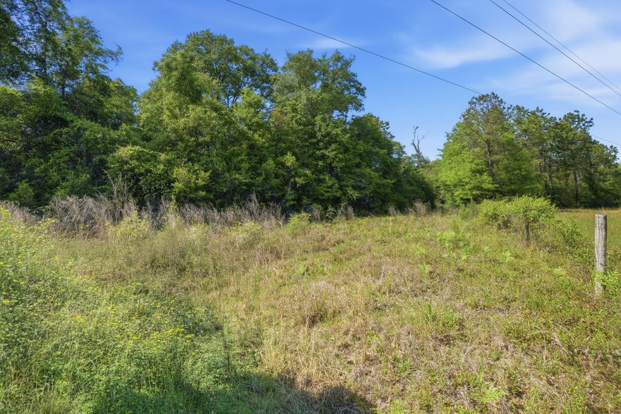 If you've been looking for space, privacy, and a piece of land you can truly make your own, this 12± acre parcel on Hilton Trail is worth a look. With a mix of mature oak trees, open areas, and peaceful surroundings, it's the kind of property where you can slow down and actually enjoy the setting--especially at sunset.

Zoned agricultural, this land offers flexibility whether you're planning to build, use it recreationally, or hold as an investment. No HOA means you have the freedom to bring your vision to life without added restrictions.

Conveniently located with access to Hwy 90 and just a short drive to Crestview, local beaches, shopping, dining, and military bases.

Buyer to verify all information deemed important including zoning, land use, utilities, and access.