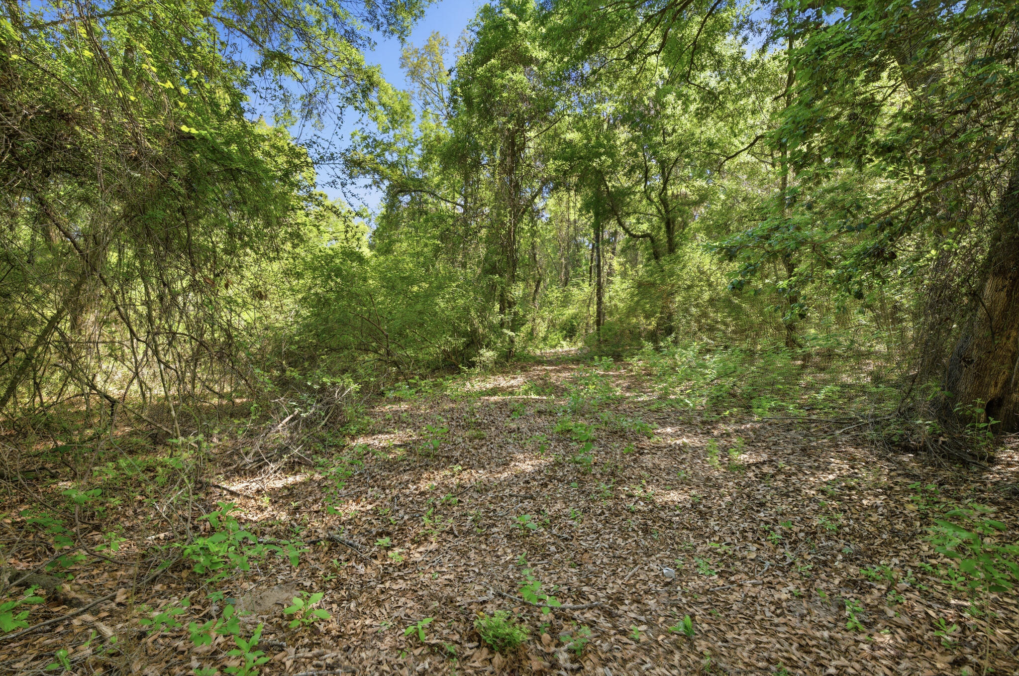 METES & BOUNDS - Land