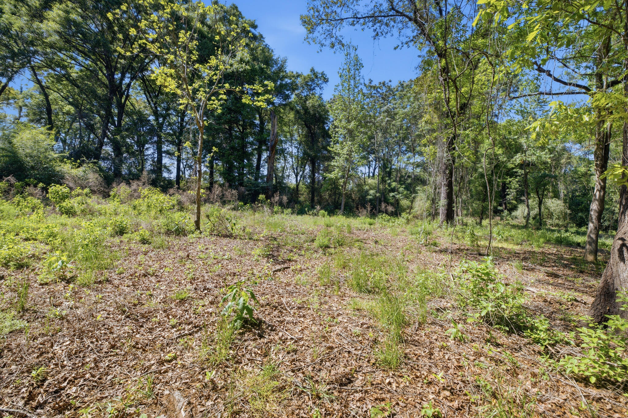 METES & BOUNDS - Land