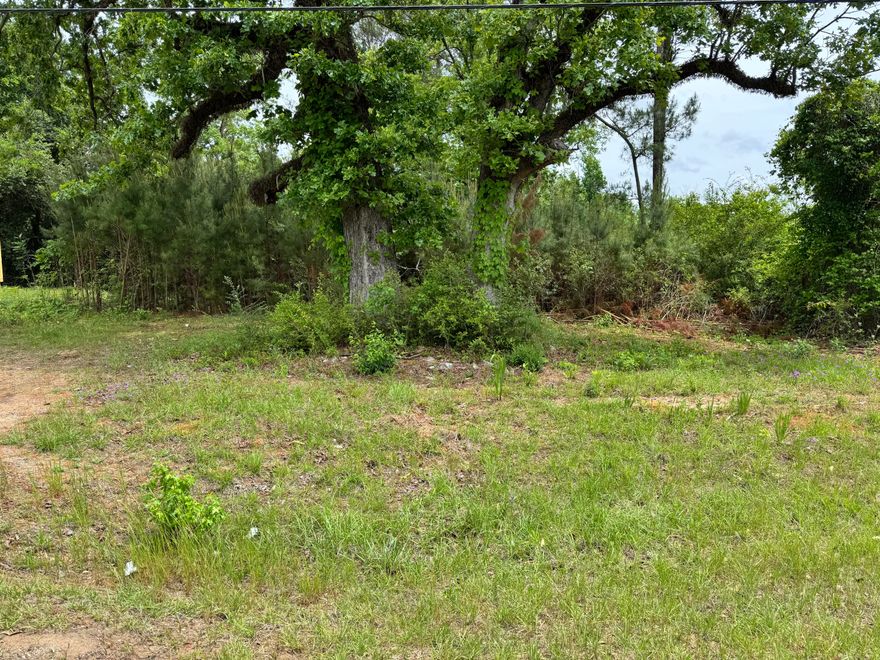 This unique property offers a rare opportunity to own both a spacious homesite and expansive acreage. The parcel includes a 100 x 150-foot lot paired with an additional 8.7 acres of untouched, wooded land--perfect for those seeking privacy, recreation, or future development potential. The land remains in its natural state, providing a beautiful canvas of mature timber and native vegetation. It's an ideal setting for building a custom home, creating a private retreat, or simply enjoying the outdoors. Abundant wildlife, including deer and turkey, frequent the property, making it especially appealing for hunters or nature enthusiasts. Whether you're looking to invest, build, or escape to a peaceful rural setting, this property combines space, seclusion, and natural beauty in one desirable package--all within Coffee County.

Also, includes parcel # 19 11 03 06 1 001 016.001