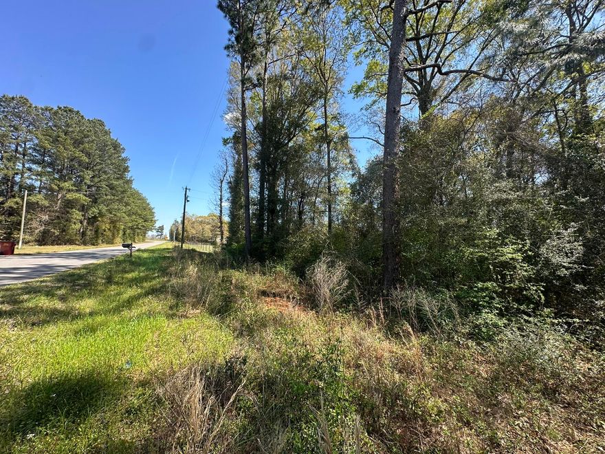Set along Holloway Road in Baker, Florida, this 1.35+/- acre parcel offers a blend of open space and natural surroundings, reflecting the area's rural character and evolving landscape. Baker is recognized for its expansive scenery, agricultural heritage, and continued growth, drawing interest from those looking for space while remaining connected within Okaloosa County. The area continues to see steady development, contributing to its increasing appeal. This parcel presents an opportunity for a range of potential uses in a location that continues to gain attention. Buyer and buyer's agent to verify all information deemed important to the purchase.