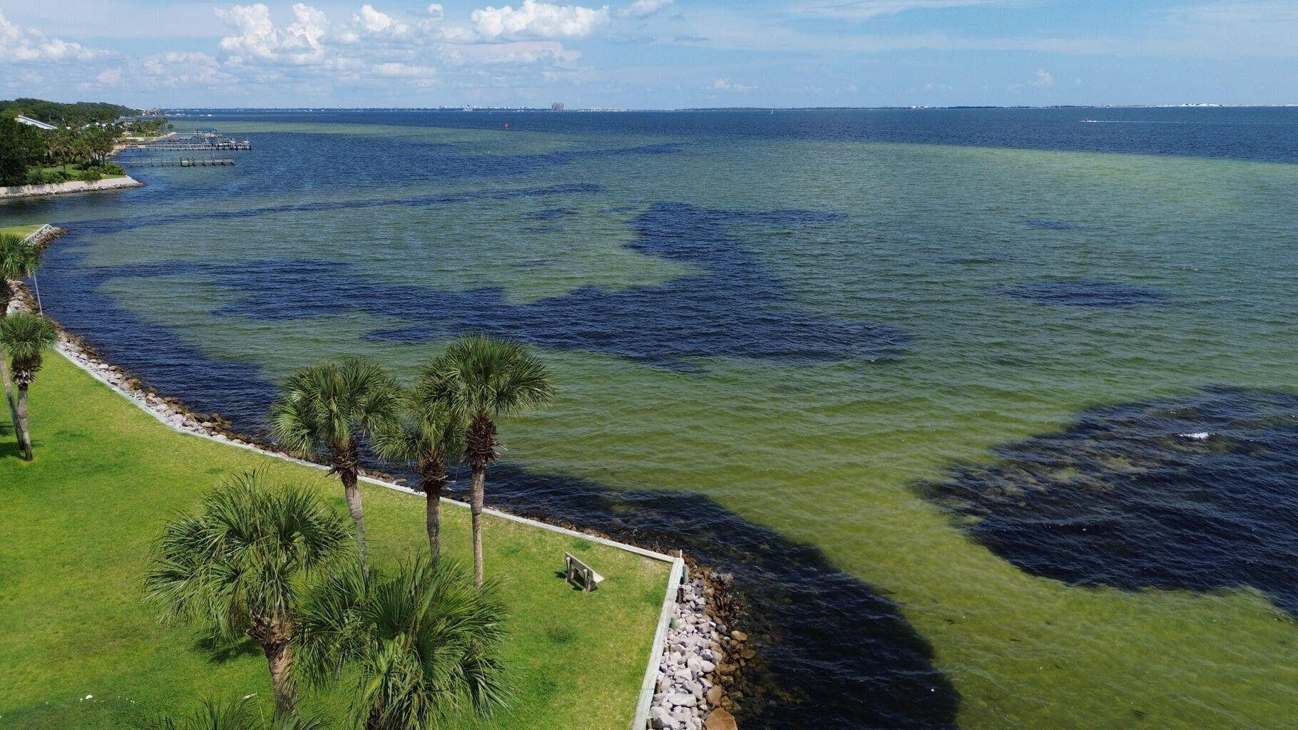 FINISTERRA CONDO - Residential