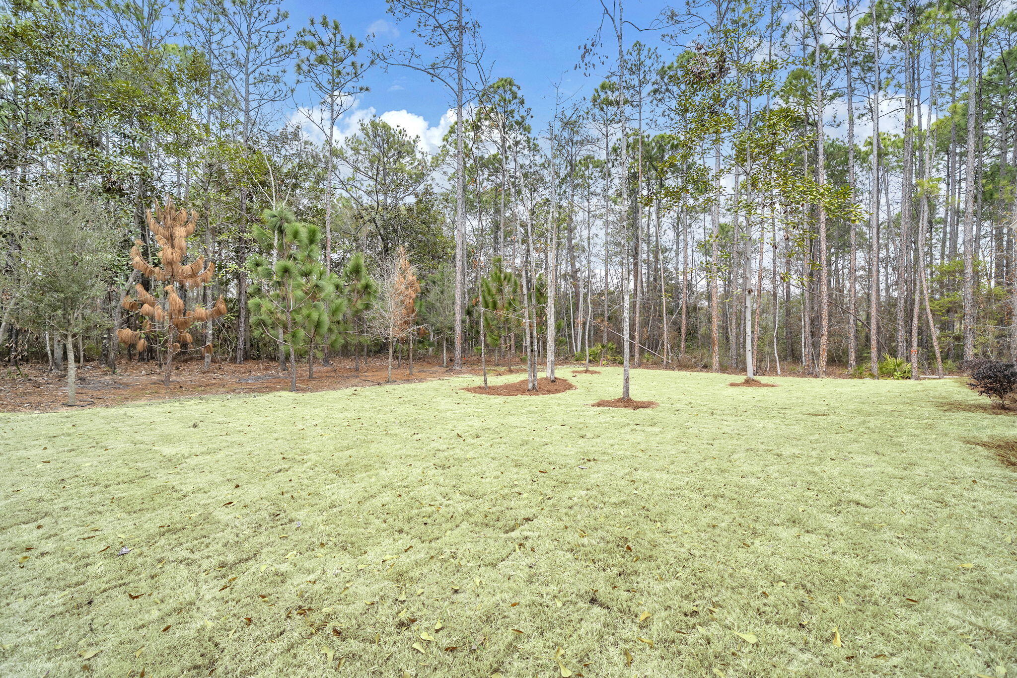 STEAMBOAT LANDING - Residential